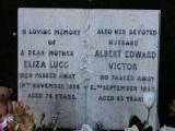 image of grave number 478516
